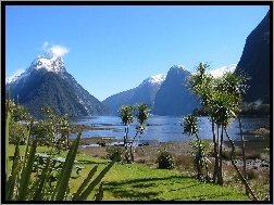 Nowa Zelandia, Roślinność, Góry, Jezioro, Milford Sound